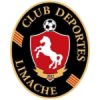 Deportes Limache